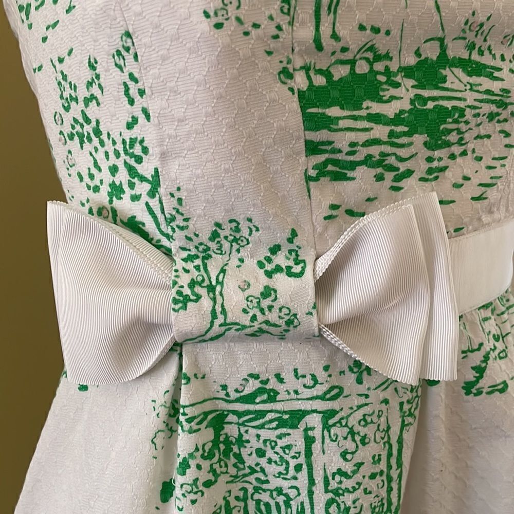 Lilly Pulitzer Darlene’s Dress Spring Fever Toile - Picture 4 of 7